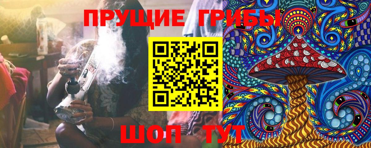 Галлюциногенные грибы Magic Shrooms Новокуйбышевск