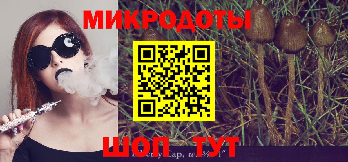 Галлюциногенные грибы Psilocybe  Вход с VPN  Галлюциногенные грибы Psilocybe  Новокуйбышевск 